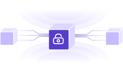 Blockchain Security